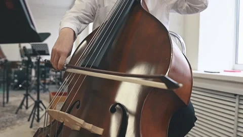 Detailed view of double bass performance, musicians hands controlling tone and Stock Footage 305651234