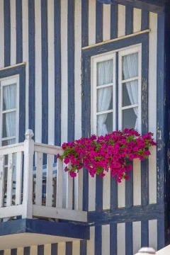 Detailed view of front facade windows and balcony with flowers Stock Photos