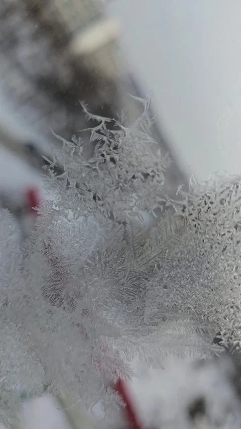 Detailed View of Frost Pattern on Winter Window for Crystallography Research and Stock Footage 330955298