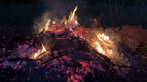Detailed view of glowing red embers and small fire flames among burnt branc.. Stockbeeldmateriaal 343280978