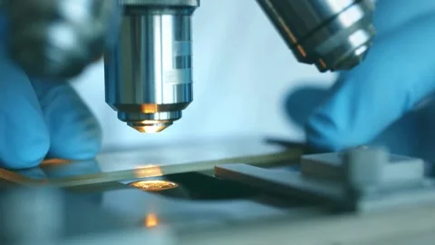 A detailed view of the HPV virus under a microscope part of a scientific study Stock Footage 336583106