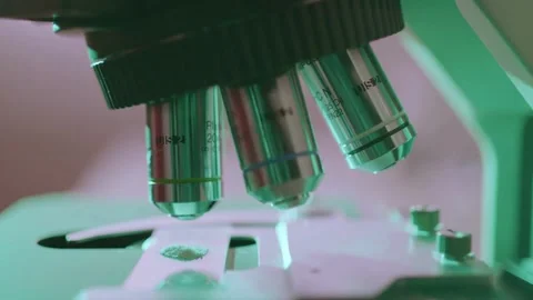 A detailed view of the HPV virus under a microscope part of a scientific study Stock Footage 336583171