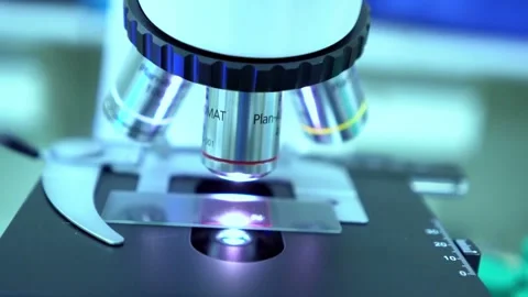 A detailed view of the HPV virus under a microscope part of a scientific study Stock Footage 336583197