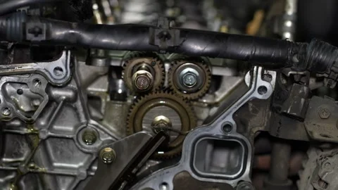 A detailed view of interlocking gears and a timing mechanism inside an opened Stock Footage 345108370