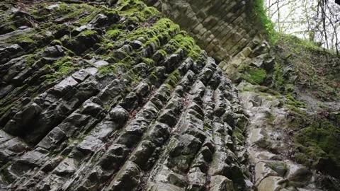 Detailed View Of Layered Limestone Rock Walls Draped In Green Moss Stock Footage 310232053