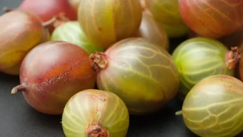 Detailed view of raw gooseberry pattern spinning around, healthy food harvest. Stock Footage 339621022