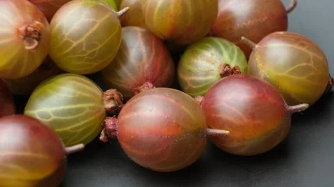 Detailed view of raw gooseberry pattern spinning around, healthy food harvest Stock Footage 340550370