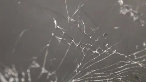 A detailed view of a spider web showcases its intricate design, illuminated by Stock Footage 292761266