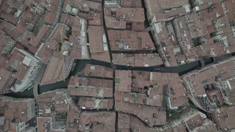 Detailed View of Venice Rooftops and Canals (Flat Profile) Stock Footage 298786736