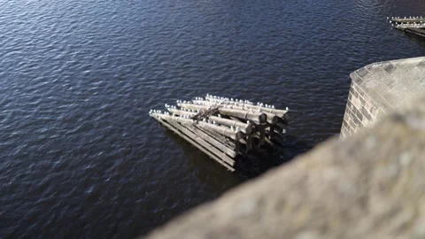 A detailed view of wooden protective structures on the Vltava River near Charles Stock Footage 293468615