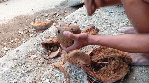 Detailed view of a worker's hands peeling coconut shell manually. Stock Footage 335018982