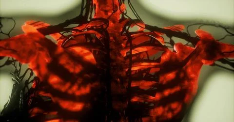 Detailed visualization of bones and internal structures in a vibrant design Illustrazione stock