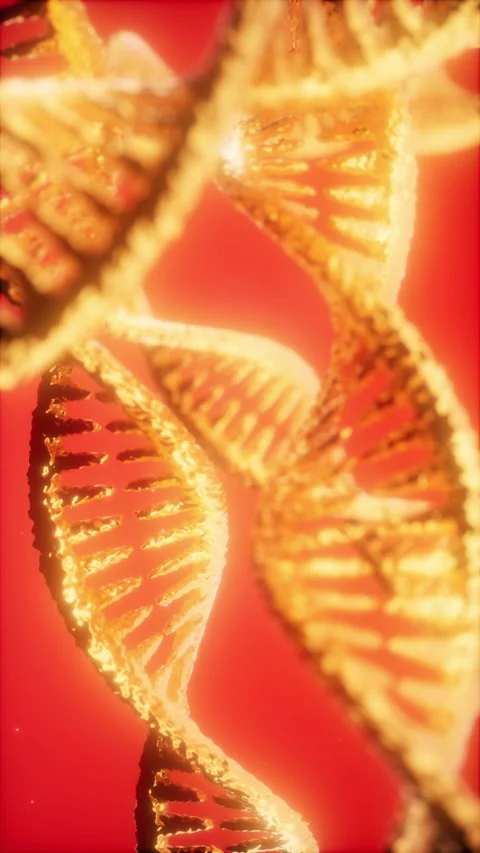 Detailed visualization of DNA structure with a vibrant red background Stock Footage 306123375