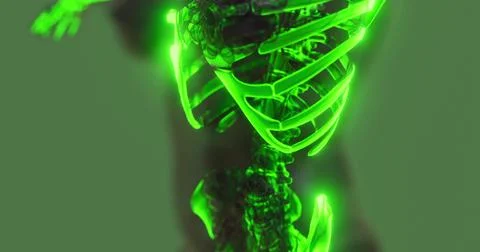 Detailed visualization of the human skeleton with glowing effects Illustrazione stock