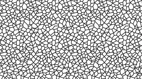 Detailed voronoi diagram pattern with thin black cells on white background .. Stock Illustration