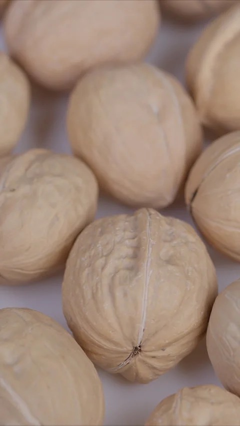 Detailed walnuts captured against neutral background. Highquality studio photogr Stock Footage 333926849