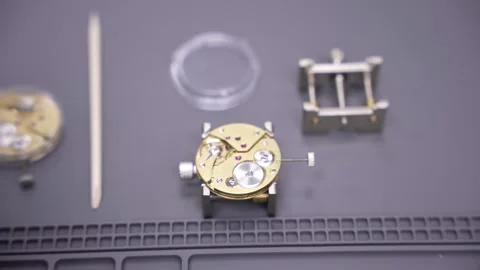 Detailed Watch Movement Assembly Stock Footage 311201746