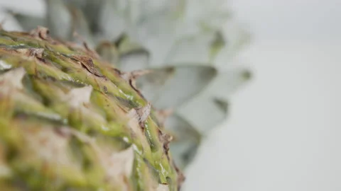 Details of Ananas comosus fruit close-up 4K close-up video Stock Footage 145884786