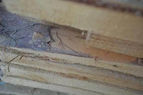 Details and elements of frame house construction 写真素材