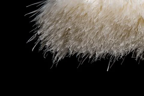 Details and macro image of an isolated brush on black background Stock Photos