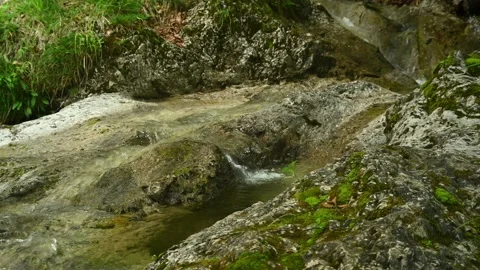 Details of a beautiful and wild small stream in the mountains Stock Footage 211487489