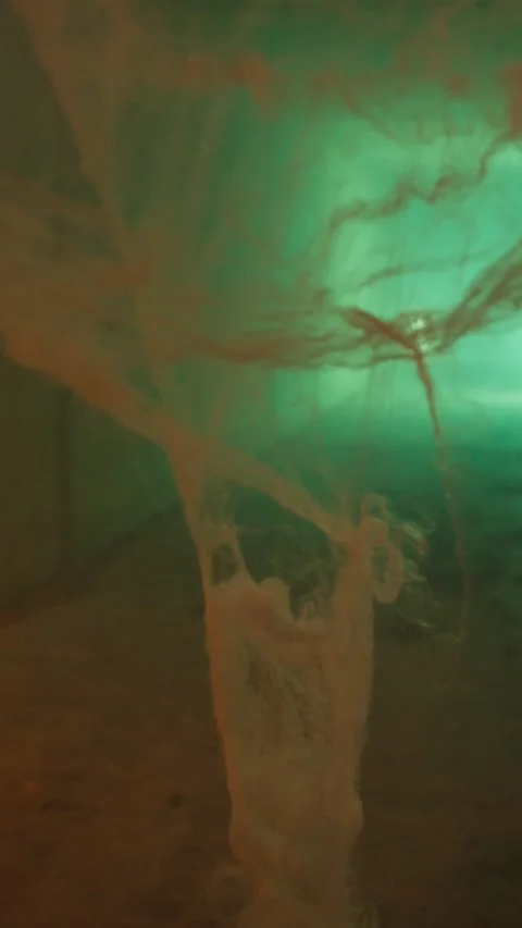 Details Of The Cobweb Hanging In The Tunnel Stock Footage 287588187