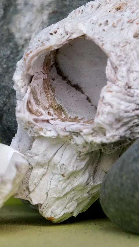 Details decor figurines shells various products Victoria, Canada Fisherman's Stock Footage 265127593