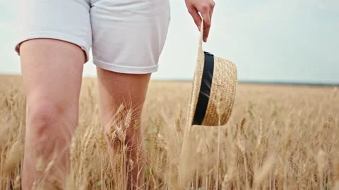 Details in front of the camera in the middle of wheat field walking lady legs Stock Footage 136229230