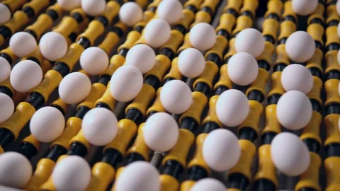 Details many eggs on yellow Stock Footage 119260058