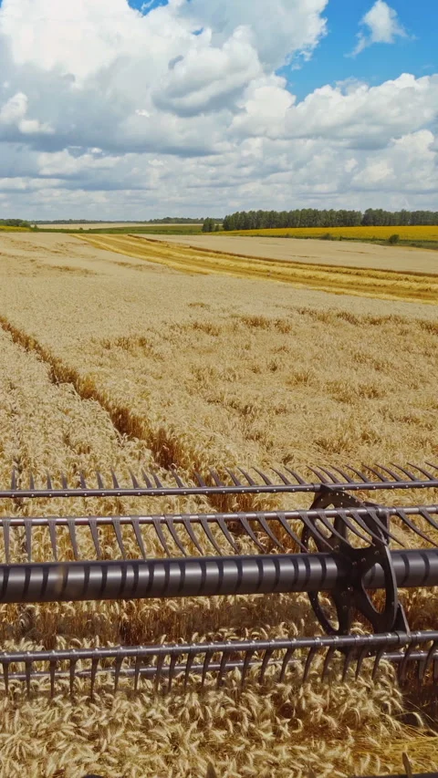 Details of a modern combine harvester. Stock Footage 299628958