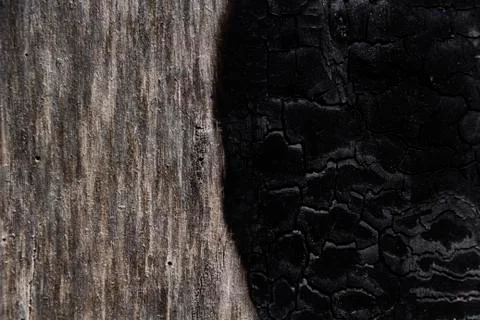 Details with patterned surface texture of burnt wood Stock Photos