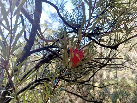 Details Stock Photos