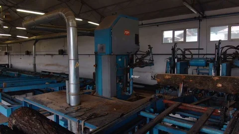 Details Sawmill Interior Tree Trunk Being Cut Blue Saw Machine Vídeo Stock 127623892