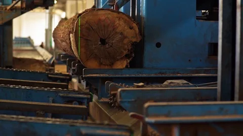 Details Sawmill Tree Trunk being cut Interior Slow motion Stock-Footage 128491863