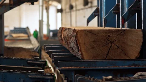 Details Sawmill Tree Trunk being cut Plank Interior Details Slow motion Stock Footage 128491915