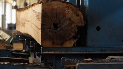 Details Sawmill Tree Trunk being cut Plank Interior Details Slow motion 스톡 동영상 128491924