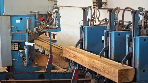 Details Sawmill Tree Trunk being cut Plank Interior Details Slow motion Vídeo Stock 128491925
