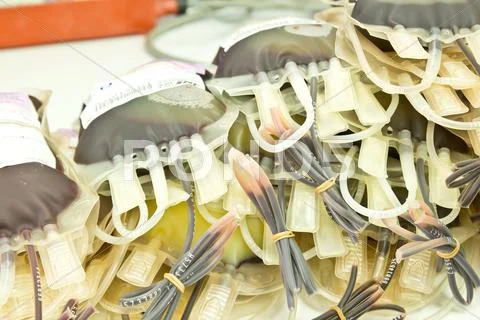 Details shot of platelet concentrate Stock Photos
