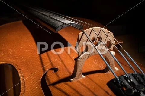 Details of a small Cello strings and body Stock Photos