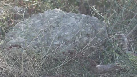 Details stone 스톡 동영상 137643447