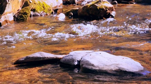Details stream in sunlight Stock Footage 129912783