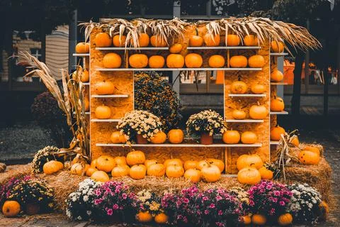 Details from the unique event Pumpkin Days, which is held every year in Kikinda Stock Photos