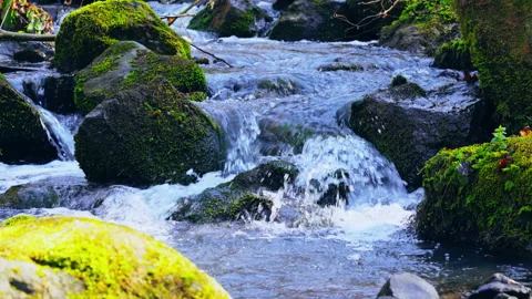 Details waterfall in mountains Stock Footage 138786435