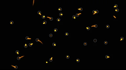 detecting moving microbes or bacteria un... | Stock Video | Pond5