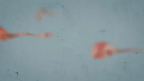 Detecting or observing an unknown life form in a murky liquid. cyclic animati Stock Footage 188734538