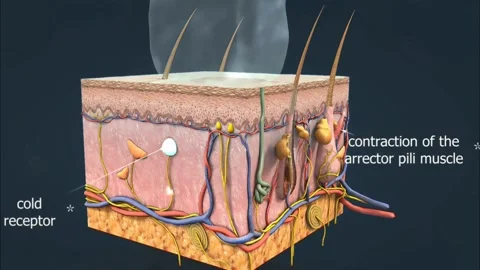 Detection of cold 库存影片 270430447