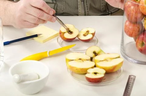 Detection of rot inside apple Photos