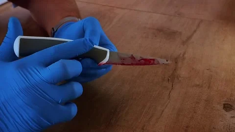 Detective Expert Examining Murder Weapon At Crime Scene Stock Footage 337257250