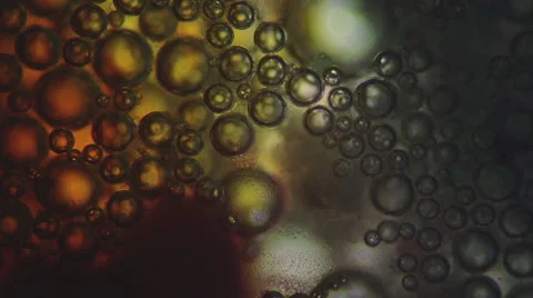 Detergent under microscope Stock Footage 51537737
