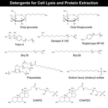 Detergents structural formulas Stock-Illustration